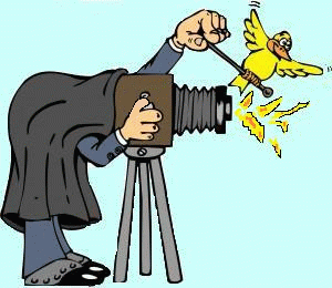 fotografo