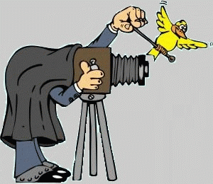 gif  fotografo