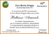 Clicca per ingrandire